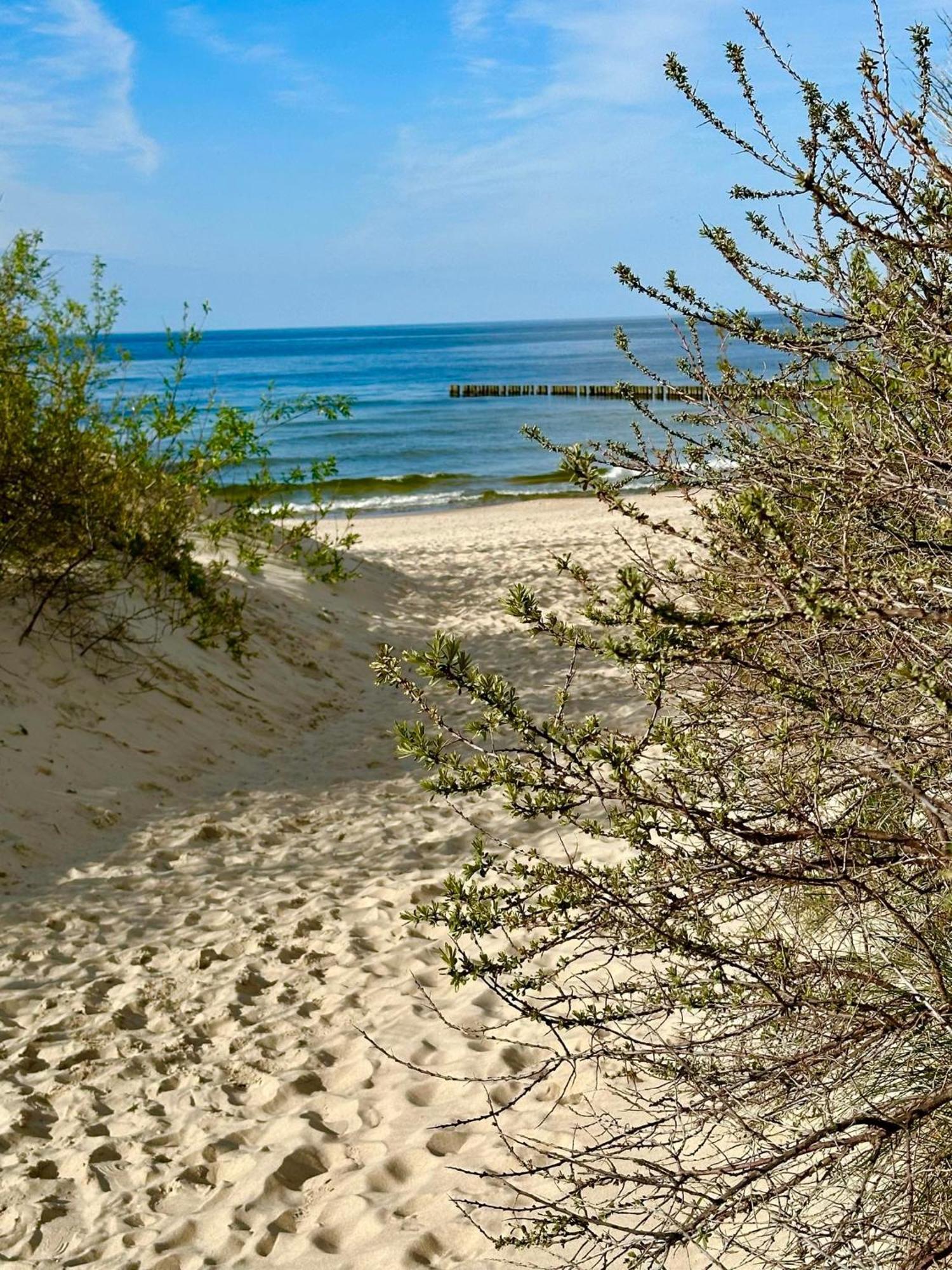 Pokoje Dziwnow Welle Exterior foto